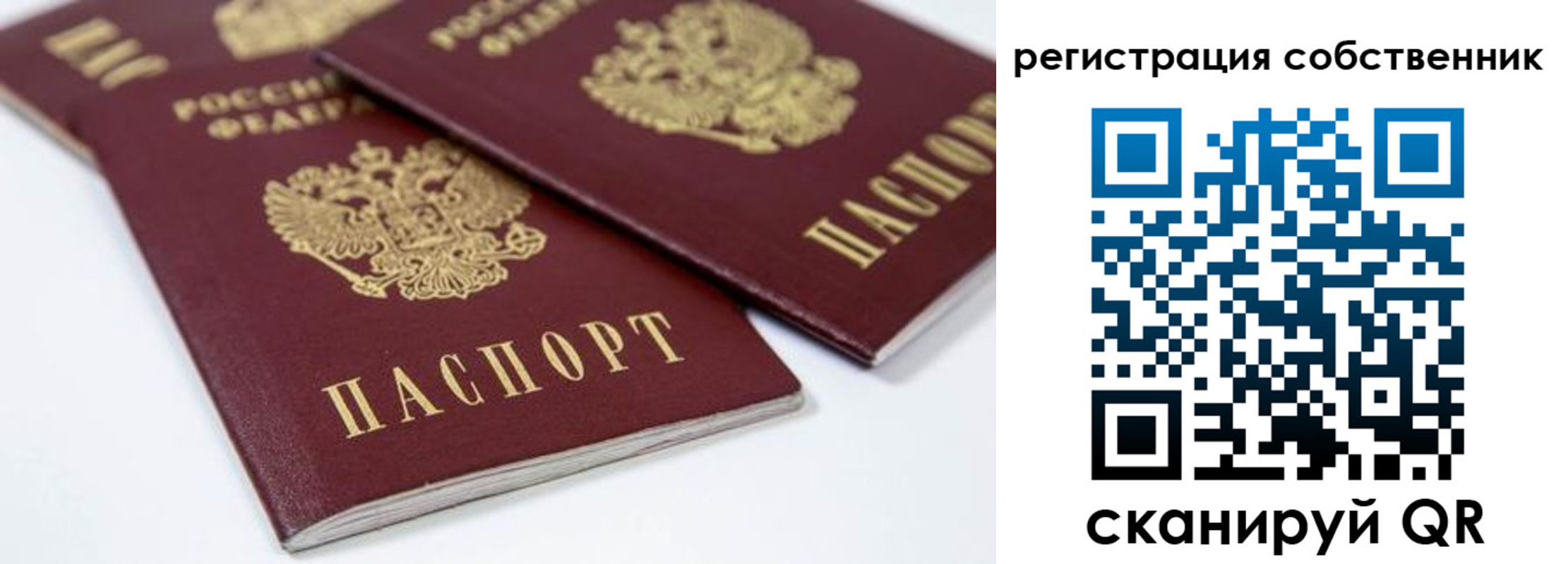 прописка для школы в Бронницах